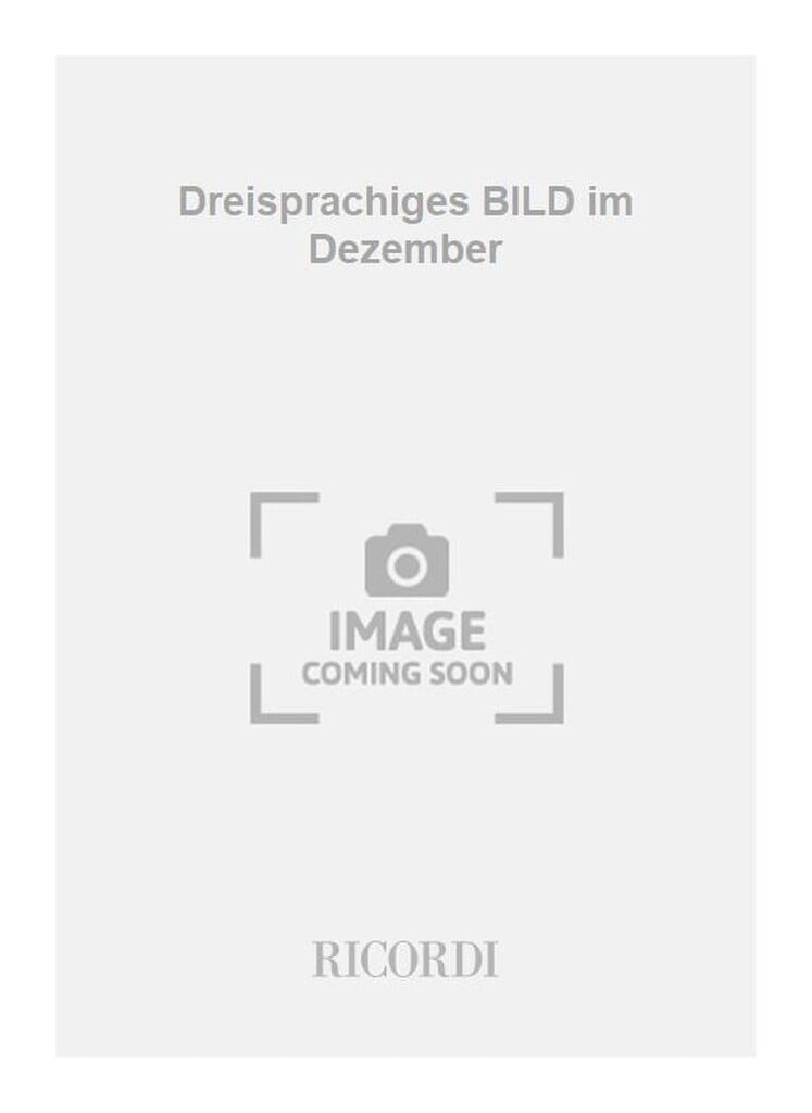 Dreisprachiges BILD im Dezember